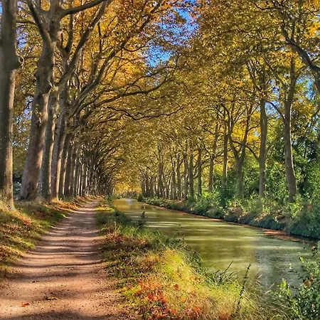 아파트 Le Stalingrad - Gare - Centre 툴루즈