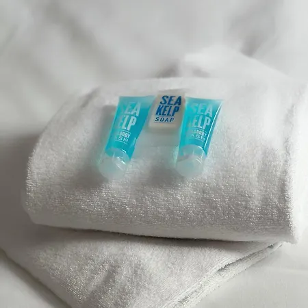 Apartment Le Stalingrad - Gare - Centre