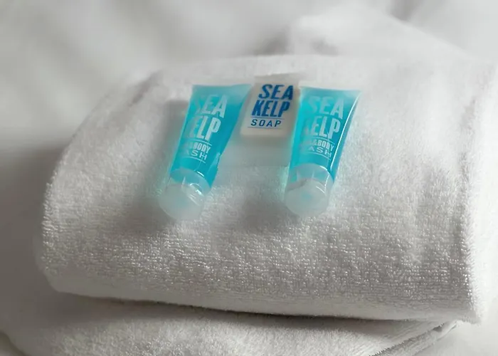 Appartamento Le Stalingrad - Gare - Centre